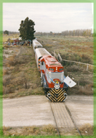 Foto1